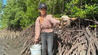 Thumbnail: Catching Huge Mud Crabs in the Swamp After Low Tide | Fishing Mud Crabs by Hand