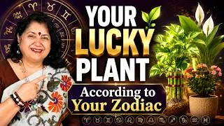 Thumbnail: YOUR LUCKY PLANT According to Your ZODIAC SIGN! | 12 Signs, 12 Plants