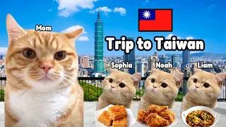 Thumbnail: Cat memes family trip to Taiwan