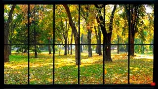 Thumbnail: Leaves Falling + My Piano