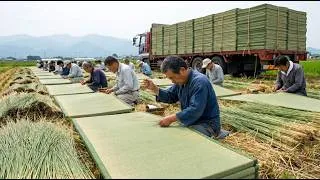 Thumbnail: How millions of tatami mats are made from grass in Japan  - Amazing Japanese mat making techniques