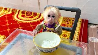 Thumbnail: Dad Made Nobi a New Dining Table… His Reaction Is Adorable! 🥹🐒❤️