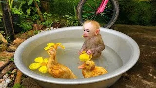 Thumbnail: Nobi Meets Two New Friends… Look at His Reaction!