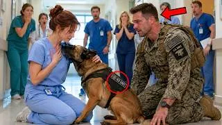 Thumbnail: The SEAL Wanted to Sit Alone With His K9 But the Dog Dragged Him Toward One Nurse