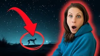 Thumbnail: Top 5 SKINWALKER Encounters You'll Regret Watching at Night