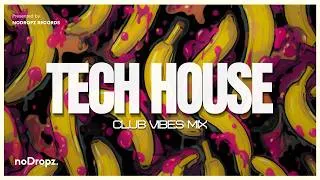 Thumbnail: Tech House Club Vibes Mix 4K by noDropz | HIGH FREQUENCY | #015