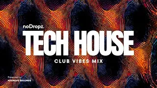 Thumbnail: 🔥Tech House Club Vibes in 4K by noDropz | HIGH FREQUENCY | 11