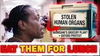 Thumbnail: “Woman” Steals ORGANS! Mamdani Thinks You're DUMB & ISLAM Hates Free Speech