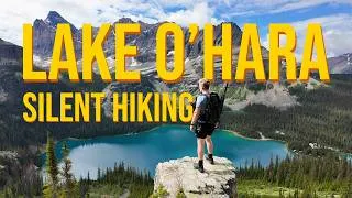 Thumbnail: Lake O'Hara Alpine Circuit and Beyond - Silent Hiking | What to Expect