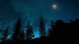 Thumbnail: 9 Hours Nighttime Forest Ambience no Rain 🌕🐸🐦 - Birdsong, Frog croaking - Natur Sounds
