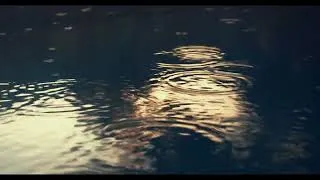 Thumbnail: 8 Hours Thunder & Rain Sound ⛈️ Rainstorm Sound forSleeping, Focus and Relaxing
