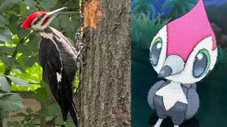 Thumbnail: Shiny Hunting While Birding!