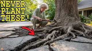 Thumbnail: 15 Trees Our Grandparents NEVER Planted for Landscaping — Garden Centers STILL Sell Them