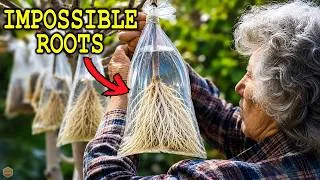 Thumbnail: Any Branch Takes Root Very Quickly! 9 Things Garden Centers Never Tell You