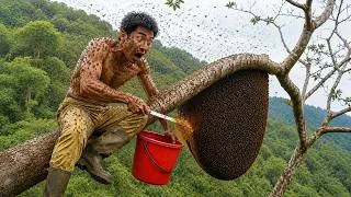 Thumbnail: 33 Minutes of Harvesting Giant Wild Honey on Ancient Tree