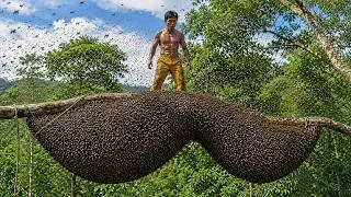Thumbnail: Jungle Life: Harvesting Giant Wild Honey at 100m 😱