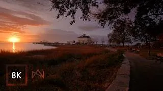 Thumbnail: Relaxing Walk in Charleston South Carolina | Nature Sounds at Waterfront Park 8K HDR