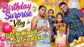Thumbnail: චූටි මැණිකට අවුරුද්දයි | Our Baby's First Birthday Party Celebrating Our Little One's Special Day