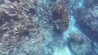 Thumbnail: Fishing at San Remigio