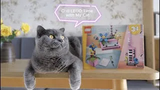 Thumbnail: Chill LEGO Time with My Cat | Slow Weekend Vibes