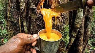 Thumbnail: You’ve Been Lost For Days Which Drink are You Choosing?  | Satisfying AI ASMR Relaxing