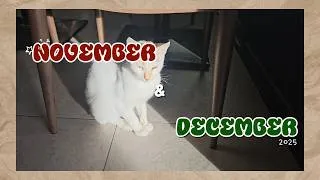Thumbnail: November + December: birthdays and food
