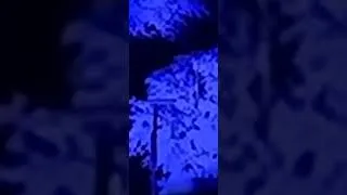 Thumbnail: Run Run River - Angels Above Me Remix 