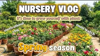 Thumbnail: Nursery therapy 🌱🌷🌹#mustwatch #motivationalvideo #trending 