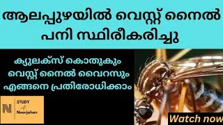 Thumbnail: വെസ്റ്റ് നൈൽ പനി ||West Nile Fever|| West Nile virus, @noorjahanpc6292