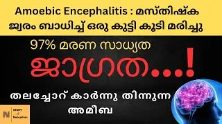 Thumbnail: AMOEBIC MENINGOENCEPHALITIS അമീബിക് മസ്തിഷ്ക ജ്വരം@noorjahanpc6292