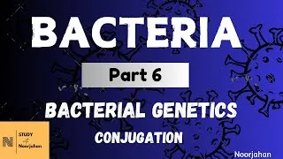 Thumbnail: BACTERIAL GENETICS - CONJUGATION, Part Three