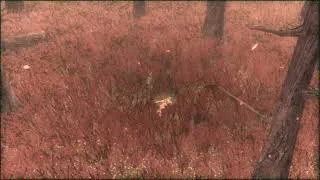 Thumbnail: Snake Eater cover