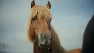 Thumbnail: NORTH BOUND ICELAND