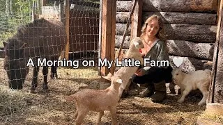 Thumbnail: A Morning on My Little Farm🐐