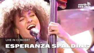 Thumbnail: Esperanza Spalding - 'Cinnamon Tree' [HD] | Live at North Sea Jazz Festival 2011