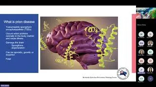 Thumbnail: Infectious Diseases Grand Rounds: Prion Disease