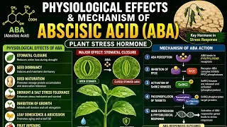 Thumbnail: Physiological Effects and Mechanism of Abscisic Acid (ABA) | Plant Growth Hormone | ABA Signaling 