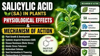 Thumbnail: Physiological Effects and Mechanism of Salicylic Acid (SA) in Plants | Plant Hormone