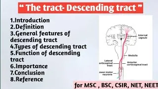 Thumbnail: The Descending tract | General features | Types | Function of descending tract | Importance 