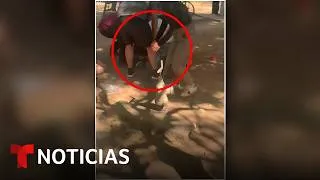 Thumbnail: Un jaguar ataca a un niño de 3 años en un centro turístico de México | Noticias Telemundo