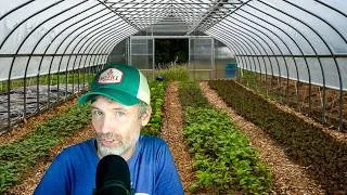 Thumbnail: String Tomatoes With Me in the Field + What’s the Deal with Blackstrap Molasses