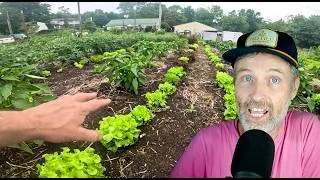 Thumbnail: What is this Super El Niño and What Will it Mean for Farmers + An “Easy” Interplant In the Field