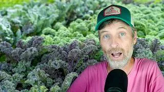 Thumbnail: A Fall Brassica Breakdown + Can I Use My Rinse Water to Irrigate