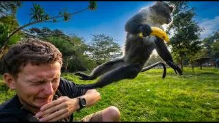 Thumbnail: Attacked by Monkeys in Nairobi!
