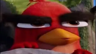 Thumbnail: best Angry Birds Movie comments i could find