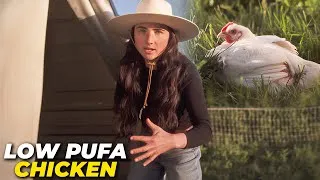 Thumbnail: Pasture-Raised vs Factory Chicken: The Fat Difference That Matters
