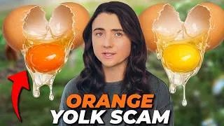Thumbnail: Have We Been Lied To About Egg Yolks?