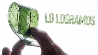 Thumbnail: El Fin del Petróleo: Así es la Fotosíntesis Artificial