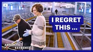 Thumbnail: The Grossest Job in Antarctica | NOVA | PBS