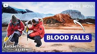 Thumbnail: The Strange Reason This Glacier Bleeds Red | NOVA PBS